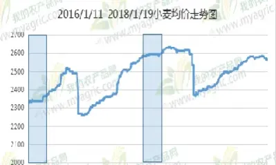 小麦期货行情供给与需求(小麦期货行情供给与需求图)