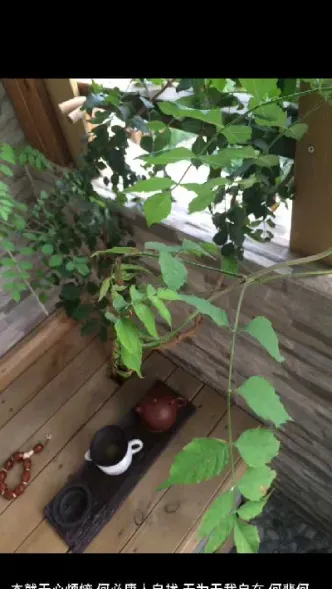 期货交易做的是交易还是心态(期货交易是一种什么交易)