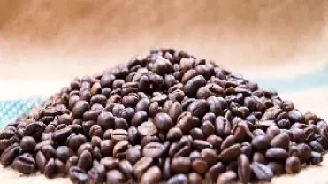 美国c型咖啡期货售价(美国c型咖啡期货售价多少)