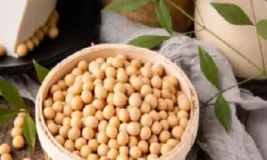 为什么大豆是期货(为什么大豆是期货品种)