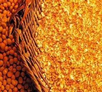 豆粕期货那月好(豆粕期货几点开盘)