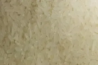 期货大米一手多少(小麦期货一手是多少吨)