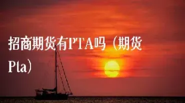 期货聚丙烯是pta吗(期货聚丙烯是什么品种)