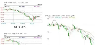 大豆期货后期行情(大豆期货行情现状)