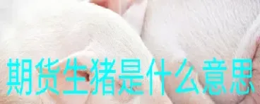 生猪期货关联品种(生猪期货交易规则详解)