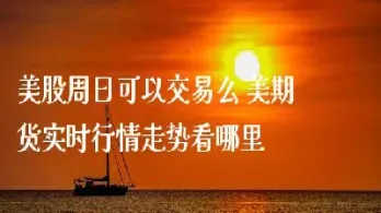 哪里可以看美指期货(美股期货实时指数在哪里看)