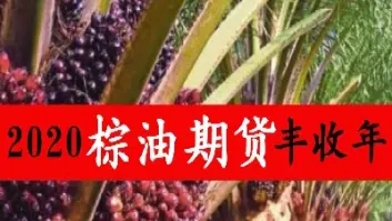 棕榆油期货行情(马棕榈油期货实时行情)