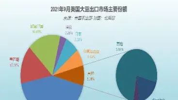 美国大豆期货计价单位(美国大豆期货价格单位)