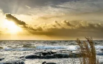 期货最高能买多少手续费多少(期货买卖最少买多少手)