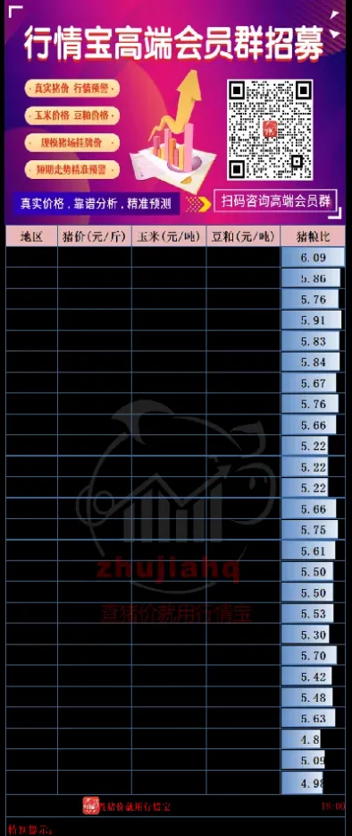 首单期货版猪价(猪肉期货一手价格)