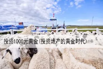 谁知道黄金期货有什么投资技巧吗(黄金期货实战技巧)