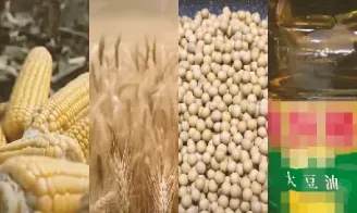 期货市场服务国际粮商可持续发展(期货市场服务国际粮商可持续发展的意义)