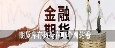 怎么查看期货商品库存数量(怎么查看期货商品库存利润)