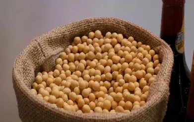 期货大豆多头还是空头(大豆期货上涨原因)