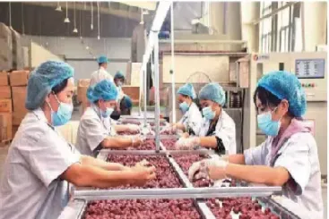 期货红枣交割比例(期货红枣交割比例怎么算)