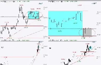 期货做一小时的行情(纸浆期货最新一小时行情)