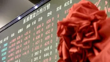 铁矿石期货国际化投资策略(铁矿石期货国际化投资策略研究)