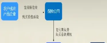 华南期货保险吗(华南期货最新消息)