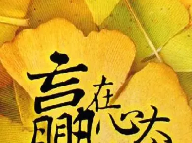 棉花期货季节性分析(棉花期货季节性规律)