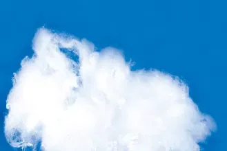 期货短纤和什么品种关联(期货短纤2201)