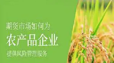 说明农产品期货市场如何形成(我国农产品期货市场的建立)