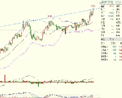 美棉期货合约如何规定等级(美棉期货合约如何规定等级高低)