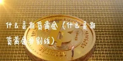 怎么对黄金期货进行期货保值(黄金期货可以长期持有吗)