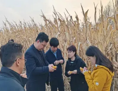 期货市场对农业产业化的作用研究(农产品期货研究框架)