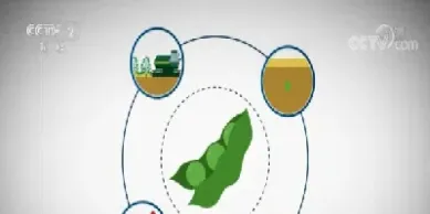 大豆期货创两年新高(大豆期货未来走势)