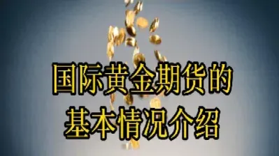 金信期货内盘有哪些(金信期货股票有哪些)