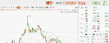 白银期货指标详解(白银期货指标详解最新)