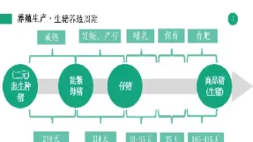生猪期货对养猪行业的影响(生猪期货上市对猪企的影响)