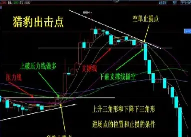期货每年有多少点的空间(期货有多少账户是盈利的)
