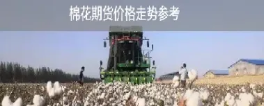 棉花期货加保险怎么理解(棉花期货保证金)