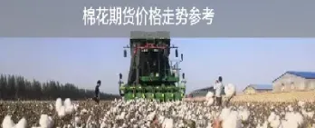 棉花期货的波动特点(棉花期货波动一个点)