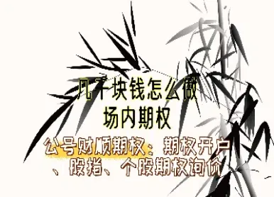 场内期权怎么交易(期权日内交易技巧)