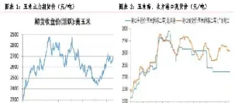 2309玉米期货今天行情(玉米期货行情最新消息)