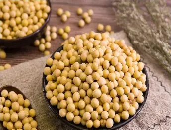 美豆粕最新消息(美国豆粕最新消息)