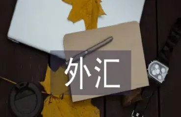 外汇交易实训内容(外汇交易实务实验总结)