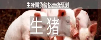 猪期货是什么意思(猪期货怎么交易)