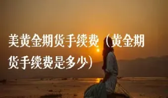 美黄金期货手续费(美黄金期货盈利计算)