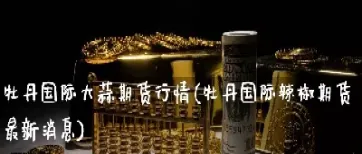 大蒜期货代码是什么(大蒜期货是什么意思)