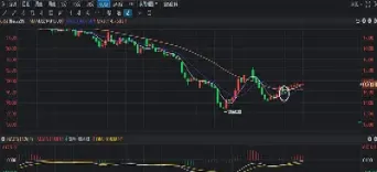 棉花期货市场基本信息(我国棉花期货市场研究)