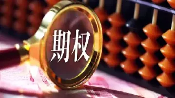 期权持有方未行权(期权没有资金行权怎么办)
