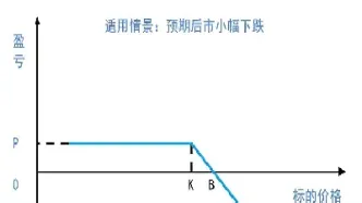 看涨期权购买者的收益一定为期权到期日(买入看涨期权盈利)