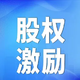 期权激励是一种什么激励(期权激励有什么优缺点)