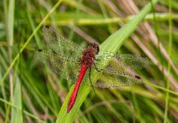 个人如何买股指期货(如何买股指期货做空)