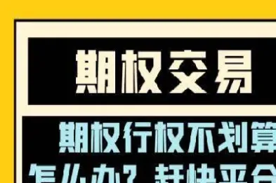 玩期权是什么意思(期权怎么玩新手入门)