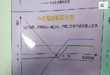 买了看跌期权会怎样(看跌期权怎么买)