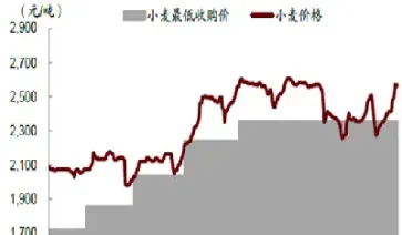 今天小麦期货价格走势(美国小麦期货今日价格)
